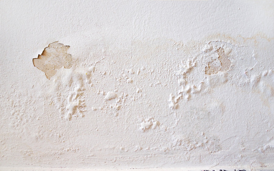 Paint peeling from humidity damage